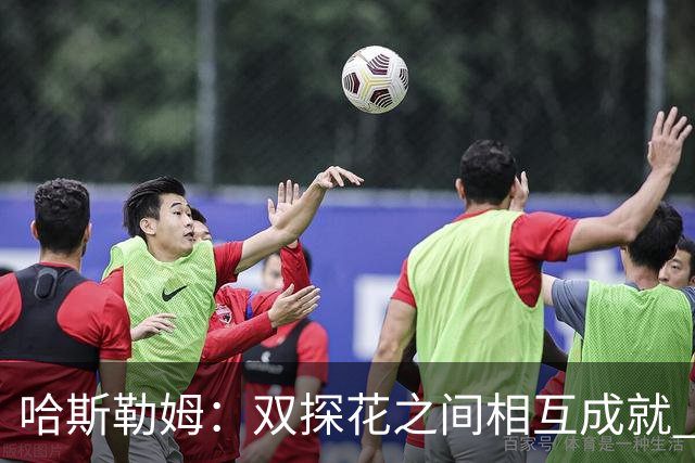 哈斯勒姆：双探花之间相互成就 没有彼此谁也达不到现在的高度
