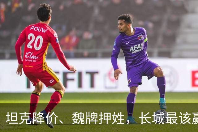 坦克降价、魏牌押姓，长城最该赢的两仗，都打成了消耗战