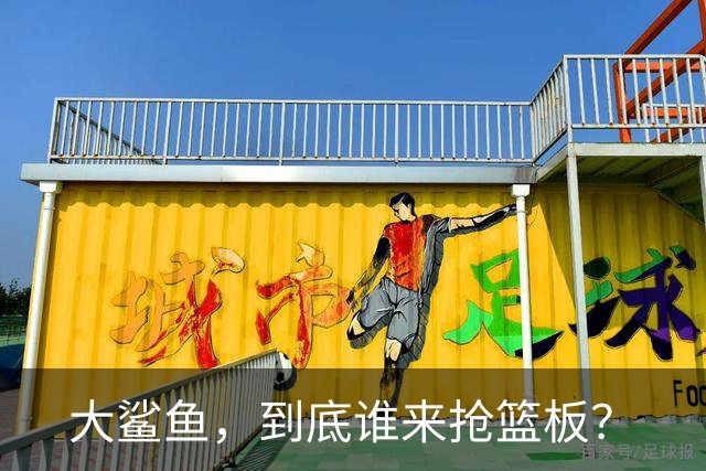大鲨鱼，到底谁来抢篮板？