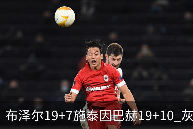 布泽尔19+7施泰因巴赫19+10 灰熊主场大胜黄蜂