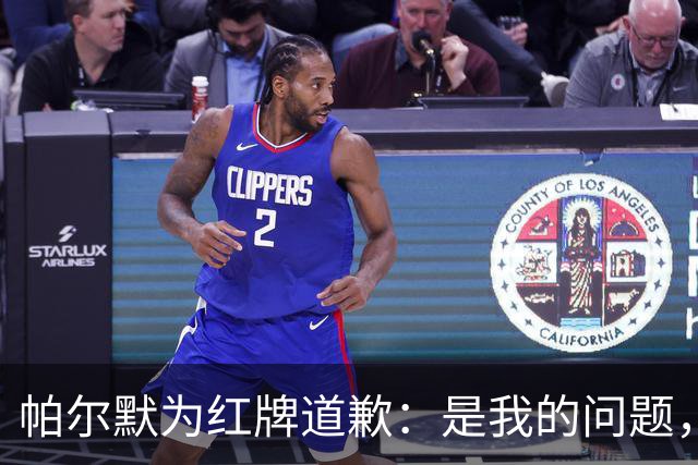 帕尔默为红牌道歉：是我的问题，会吸取教训