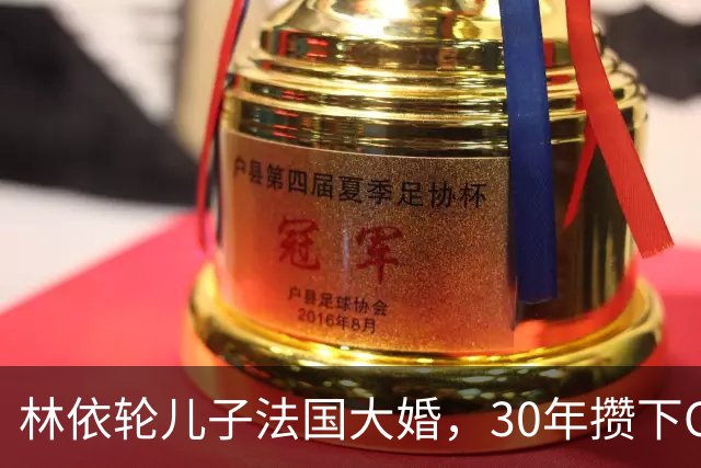 林依轮儿子法国大婚，30年攒下CBD楼王满墙名画，底气全在这儿
