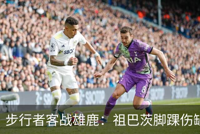 步行者客战雄鹿：祖巴茨脚踝伤缺战，内姆哈德颈部伤势出战成疑