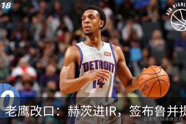 老鹰改口：赫茨进IR，签布鲁并提拔两人