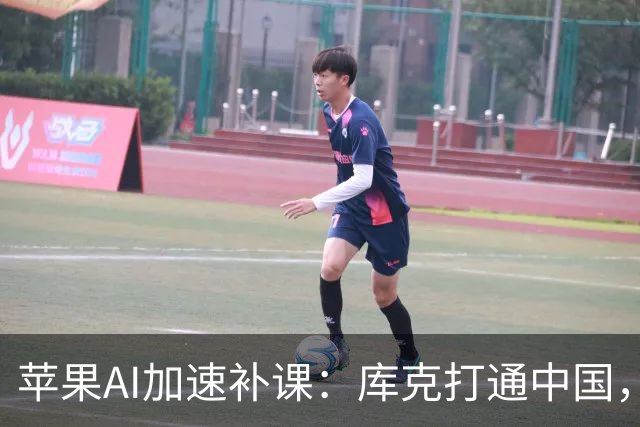 苹果AI加速补课：库克打通中国，特努斯抢攻客厅