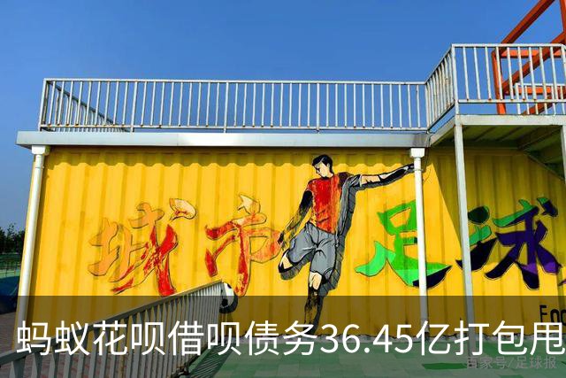 蚂蚁花呗借呗债务36.45亿打包甩卖：别做梦了，债主换了债还在。
