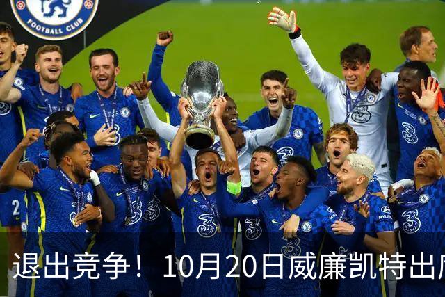 退出竞争！10月20日威廉凯特出席公务，哈里梅根的在职说不攻自破
