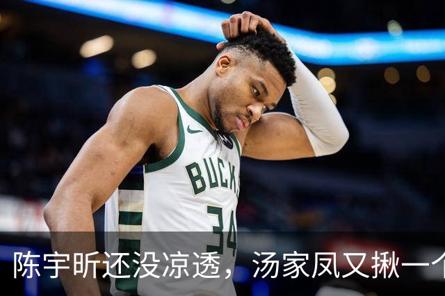 陈宇昕还没凉透，汤家凤又揪一个“精日”人员：竟然还是公司老板